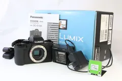 動作保証・点検済】良品□パナソニック PANASONIC LUMIX DC-G100V