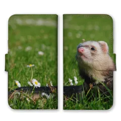 iPhone8 iPhone7  ケース 手帳型 アイフォン8 アイフォン7 スマホケース 携帯ケース フェレット イタチ 動物 アニマル 写真 もふもふ モフモフ 可愛い かわいい 草原 緑 グリーン スマホカバー カラー01