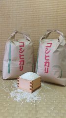 令和5年埼玉産こしひかり9.5kg×2個無洗米