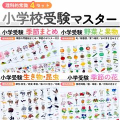 タングラム 図形パズル パターンブロック 小学校受験教材 幼児