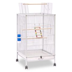 Item thumbnail for item a901f41e-ee34-44fe-95cd-b3cbb56bccff