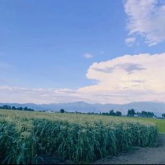 ★信州の野菜農家SHOP★