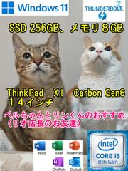 ThinkPad X1 Carbon　Gen６ (2019年１月製）