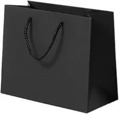 NASSIA 紙袋 横型 ギフト 包装 ギフト袋 かわいい ラッピング袋 5枚セット プレゼント 包装用 クリスマス 誕生日 お祝い(ブラック,  40x28x12cm)