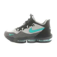 2026年最新】lebron 16 lowの人気アイテム - メルカリ