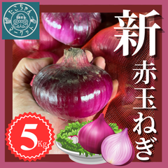 令和6年　新玉ねぎ　愛媛県産　赤玉ねぎ　紫玉ねぎ　玉ねぎ　5Kg