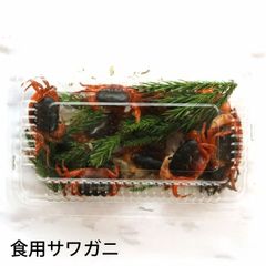 活き サワガニ 食用 1パック（約15匹入り）さわがに 沢蟹 生きている（冷蔵便）【入荷スタートしましたが不安定】