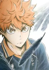 【中古】アニメBlu-ray Disc ハイキュー!! 烏野高校 VS 白鳥沢学園高校 Vol.1 [初回生産限定版]