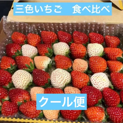いちご　苺　三色　食べ比べ　クール便