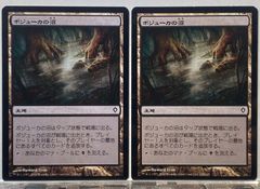 ボジューカの沼/Bojuka Bog 日本語 MTG - メルカリ
