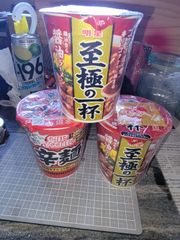 カップラーメン２種+そうめん、うどんセット