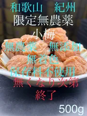 2025年最新】小梅 無農薬の人気アイテム - メルカリ