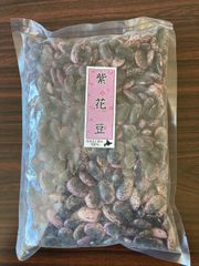 十勝・帯広産 完全無農薬栽培 こだわり豆シリーズ（手作業選別・磨き）1袋 600g (600g, 紫花豆)