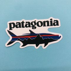中古本】底知れぬすっぽんパワー糖尿病に勝つ ナガセスッポン
