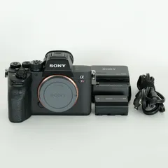 2025年最新】sony α7ivの人気アイテム - メルカリ