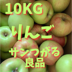 【クール便】りんご サンつがる つがる 10kg 信州産 林檎 家庭用 加工用 リンゴ
