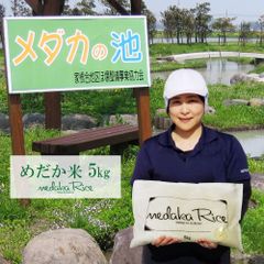 めだか米 5kg 無洗米・白米・玄米 令和4年 山形県産はえぬき 5キロ