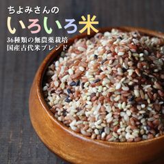 大地の生菓 36種類の古代米ブレンド いろいろ米 300g 送料無料 国産 大分県産 無農薬 化学肥料不使用 自然農法 掛け干し米 共生栽培 お米 玄米 うるち米 黒米 赤米 緑米 ミックス 混ぜるだけ