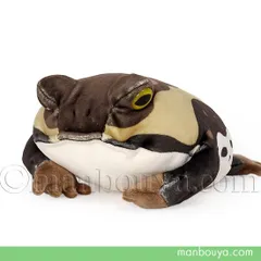 モチコとおおきなアメフクラカエル　ぬいぐるみ 3点セット 新品未使用】モチコとおおきなアメフクラカエル ぬいぐるみ 3体
