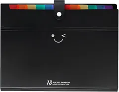 fogman ファイルボックス A4 13ポケット ボタン付 防水 レインボーカラー クリアファイル