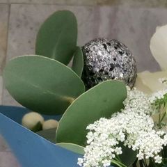 shop-thumbnail