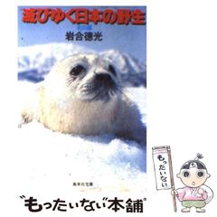 鳥羽水族館70周年 ラッコ メイちゃん キラちゃん記念チラシ - メルカリ