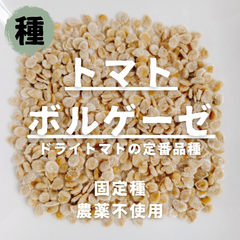 【種】ドライ用トマト　ボルゲーゼ　農薬不使用　15粒