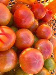 果肉が凝縮❗️大玉トマト🍅　4kg