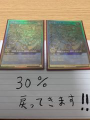 メルカリshop 30%還元遊戯王ラッシュビルドドラゴン2枚