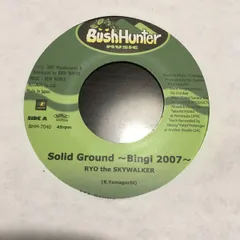 BushHunter 7インチレコード 4枚セット BushHunter 7インチレコード 4枚セット 7inch / 7インチ - 中古