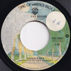 Chaka Khan I'm Every Woman / A Woman In A Man's World Warner Bros. US WBS 8683 211793 SOUL DISCO ソウル ディスコ レコード 7インチ 45
