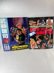 直筆サイン入り豊田 真奈美 ミニうちわ 全日本女子プロレス