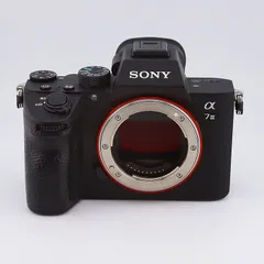 2025年最新】sony α7iii ボディ ilce-7m3の人気アイテム - メルカリ