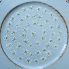 Item thumbnail for item e80ca081-07a9-4c95-af82-ccef211e1a64