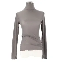 ☆ グレイ ☆ カットソー シースルー カットソー レディース 長袖 シャツ 薄手 メッシュ レース シアー タートルネック フリルネック ハイネック 重ね着 レイヤード エレガント 透け カジュアル きれいめ 上品 かわいい トップス