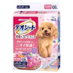 Item thumbnail for item c69bb011-0fc3-4a28-80bb-c6eb54d85d57