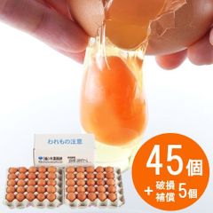 【TV紹介】いではのもみじ紅 50個入（破損補償5個を含む）おとりよせ 新鮮生たまご 送料無料