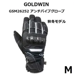 2024年最新】goldwin グローブ スマホの人気アイテム - メルカリ