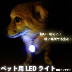 \\🐕‍🦺LEDお散歩ライト🐕‍🦺//  犬 ペット用品店 フック式 セーフティーライト 視認性向上 首輪 防犯 夜間安全 夜道 照明 懐中電灯 アクセサリー 自転車 自動車 事故防止 ハーネス ストラップ ペンダント ドッグ ウォーキング H