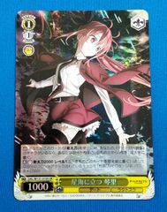 ヴァイスシュヴァルツロゼ　新たな姿　エンジェリック・エスカレイヤー　ssp ヴァイスシュヴァルツロゼ 新たな姿 エンジェリック・エスカレイヤー