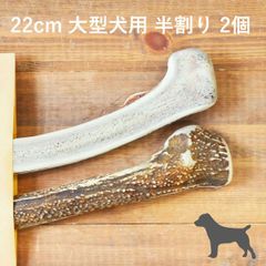 【 22cm 大型犬用 】【半割り】【2個セット】エゾ鹿の角 犬 おやつ 無添加 国産 北海道産 ペット・ペットグッズ ドッグフード ガム 骨（ボーン）型 鹿の角 硬い 長持ち おもちゃ 鹿角 角ガム ペット用品　犬用品　ドッグフード