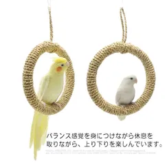 2024年最新】鳥 止まり木 スタンドの人気アイテム - メルカリ