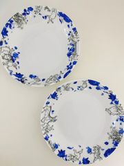 鳥獣戯画×青い花＊深めの16cm皿☆２枚セット