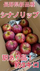☆送料無料☆訳あり『シナノリップ』約3kg!長野県新品種リンゴ☆