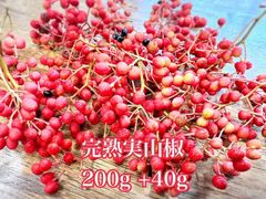 夢農場　完熟　実山椒　小枝付き　200g ＋40gおまけ