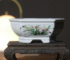 刻絵釉薬盆 盆栽鉢青磁鉢 山野草鉢 多肉植物 植木鉢 小品大品
