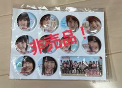 AKB48 NTTドコモ AKBダケの応援学割2013 タペストリー のぼり AKB48 NTTドコモ AKBダケの応援学割2013 タペストリー のぼり