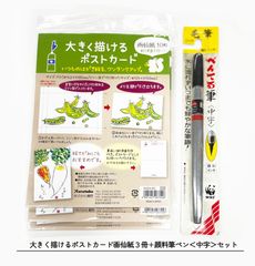 大きく描けるポストカード画仙紙３冊+顔料筆ペン＜中字＞セット