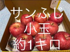 青森県産りんご葉取らずさんフジコンパクト約1キロ