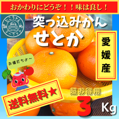 最終セール【小玉はとっても甘いよ☆突っ込みかん】愛媛県産　せとか　3kg Ｓ～3L